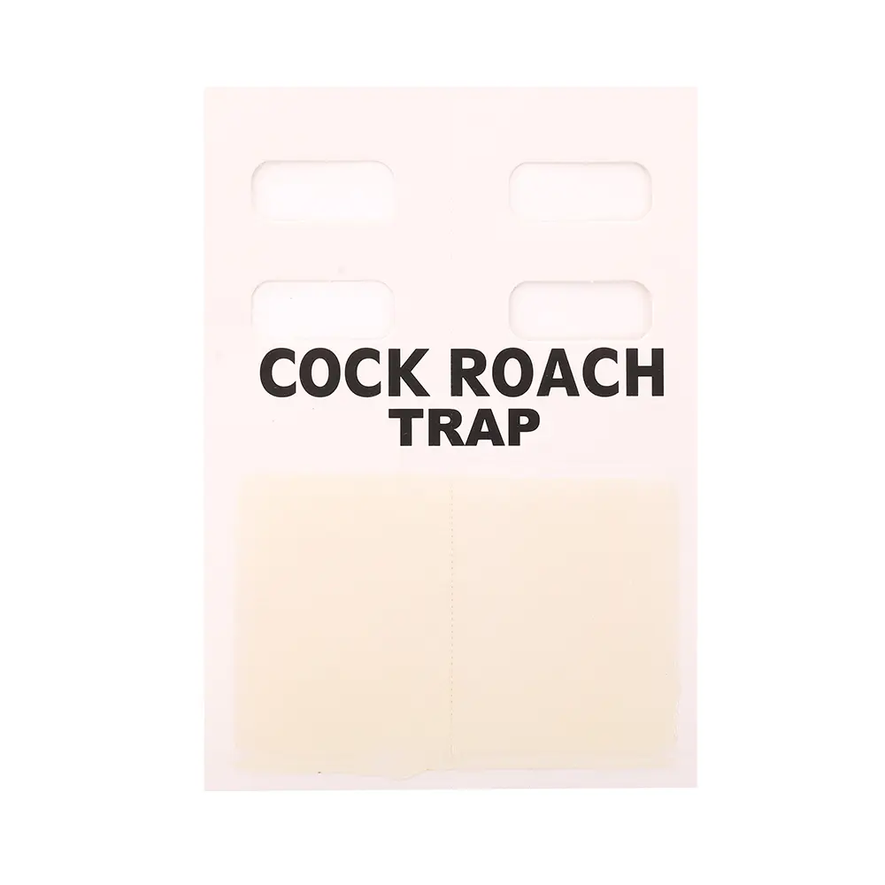 Cockroach Glue Trap