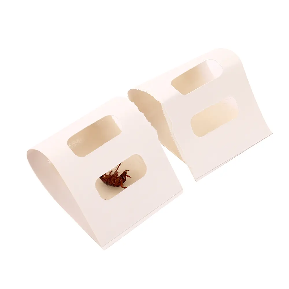 Cockroach Glue Trap