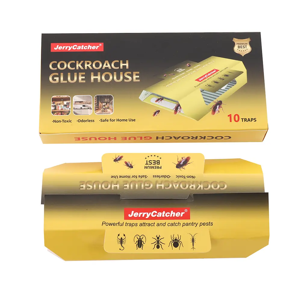 cockroach glue house