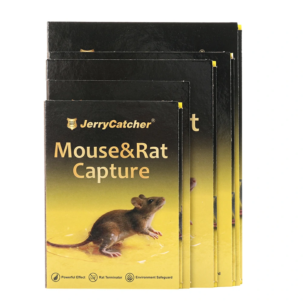mouse glue borad