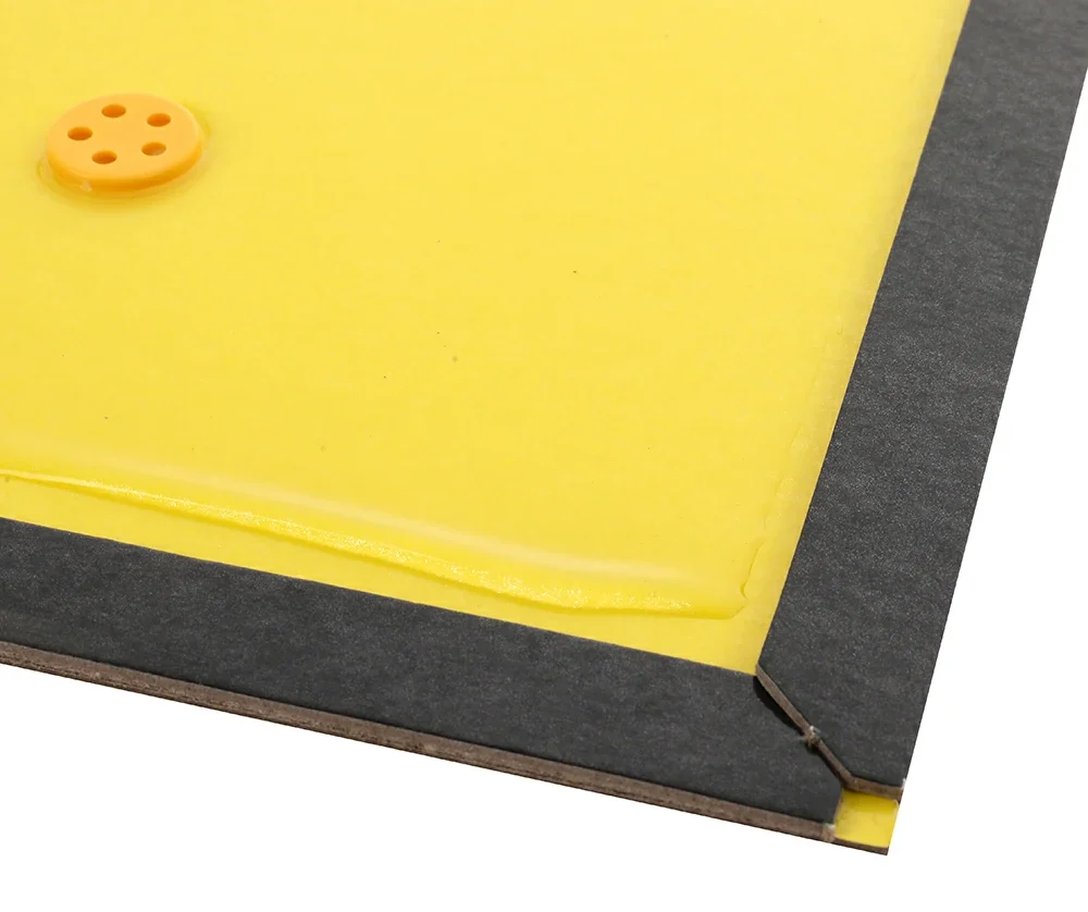mouse glue board